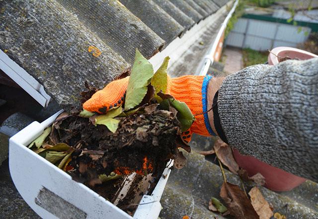 Des professionnels du nettoyage de toiture à votre service aux Lilas et leurs environs